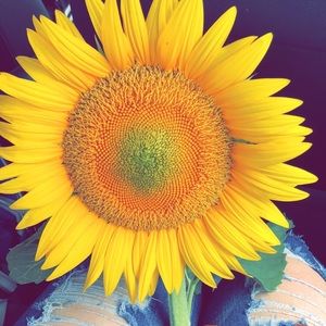 Meet your Posher, Jasmine